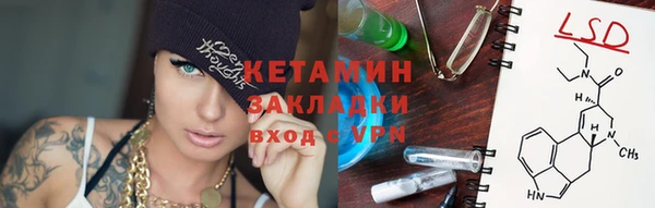 прущие грибы Костерёво