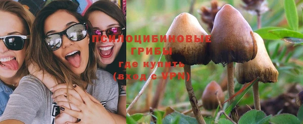 прущие грибы Костерёво