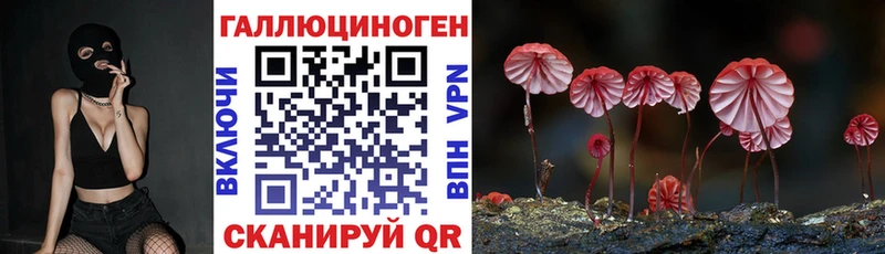 Галлюциногенные грибы мицелий Кола
