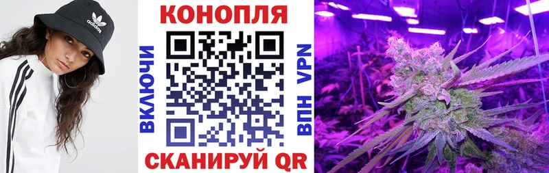 МАРИХУАНА Amnesia  blacksprut как зайти  Кола  даркнет сайт 